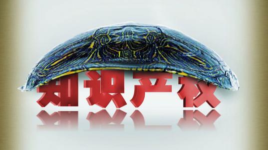 海关总署：去年共采取知识产权保护措施近5万次