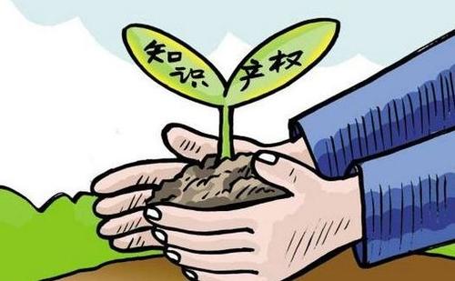 建设知识产权强省！山西将强化民生等领域知识产权保护力度